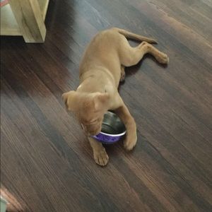 Meet your Posher, Ali